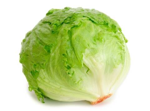 ICEBERG MARUL